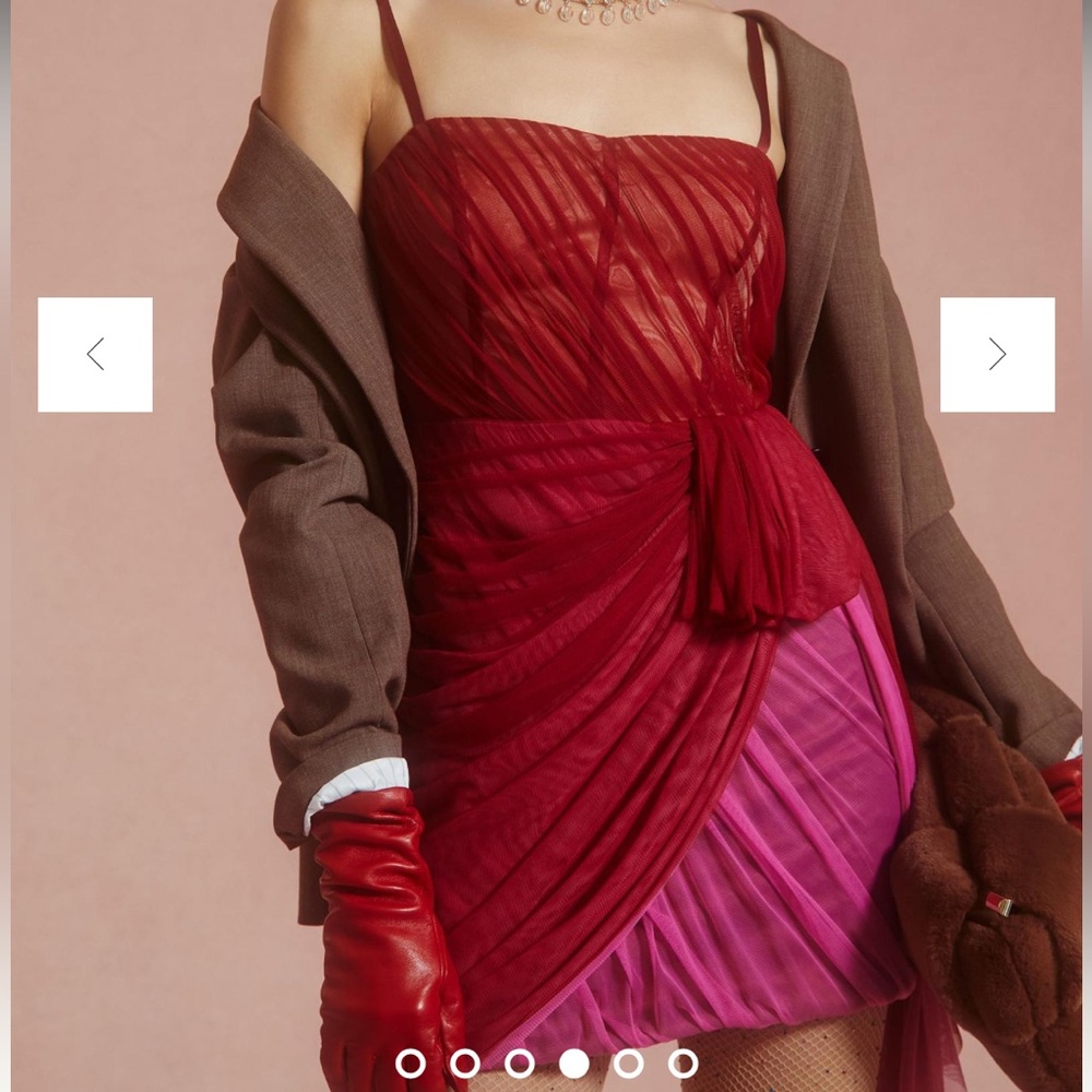 Anthropologie Structured Tulle Dress sz 4